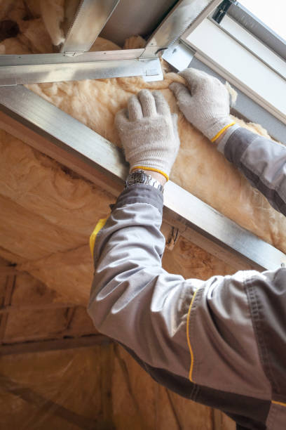 Best Spray Foam Insulation  in Jasper, TX